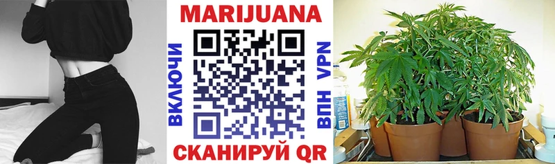 A-PVP Няндома