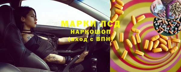 хмурый Белокуриха