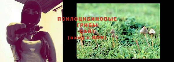 прущая мука Беломорск