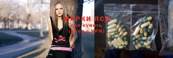 хмурый Белокуриха