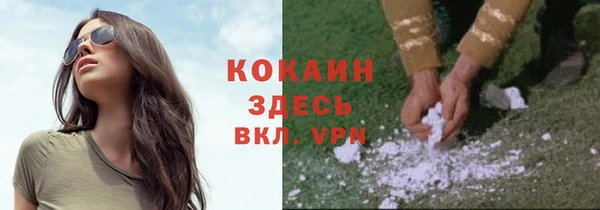 хмурый Белокуриха
