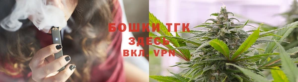 хмурый Белокуриха