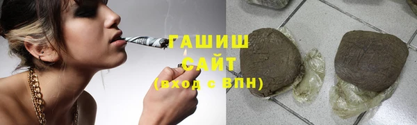 хмурый Белокуриха